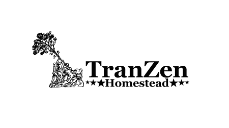 Tranzen Logo